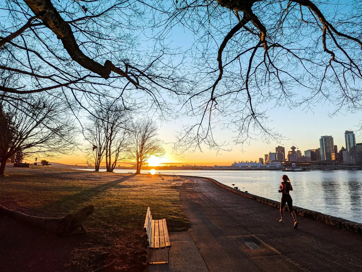 A runner on a park trail with the city skyline behind
